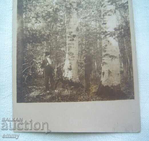 Fotografie veche - Din pădurile de la Uzana, Gabrovo cu preț 2.50 BGN | € 1.28