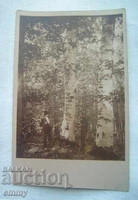 Fotografie veche - Din pădurile de la Uzana, Gabrovo