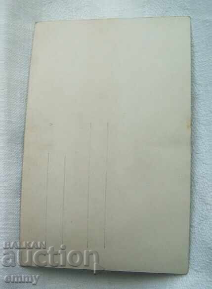 Licitație Fotografie veche - cascadă Licitație Fotografie veche - cascadă