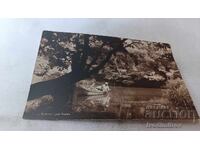 Postcard Kamchia near Varna Gr. Paskov 1935