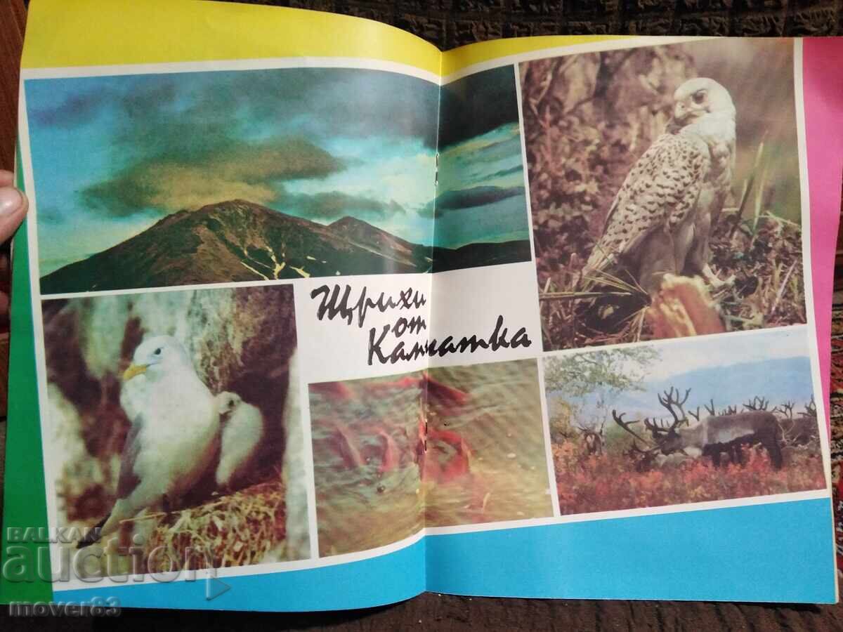 Delivery of Magazine "Hunting and Fishing". No. 4/1990 Delivery of Magazine "Hunting and Fishing". No. 4/1990