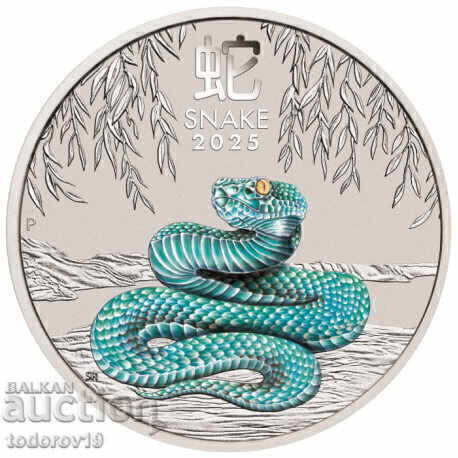 Ασημένιο Lunar Έτος Φιδιού Έγχρωμο 2025 5 oz