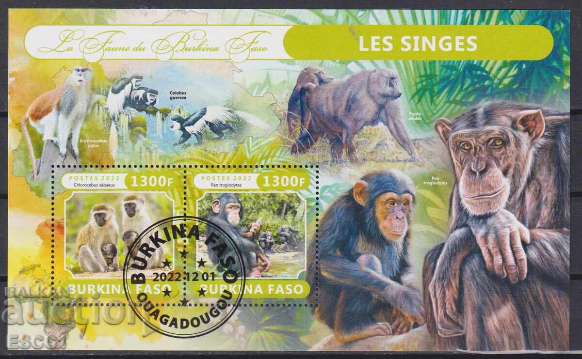 Stamped Fauna Monkeys 2022 from Burkina Faso Stamped Fauna Monkeys 2022 from Burkina Faso