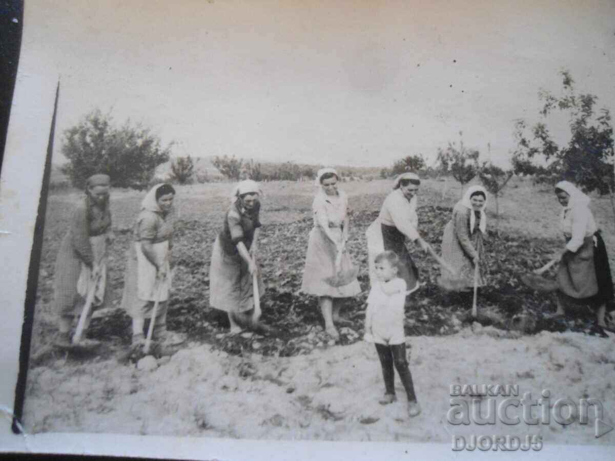 παλιά φωτογραφία παλιά φωτογραφία