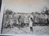 παλιά φωτογραφία