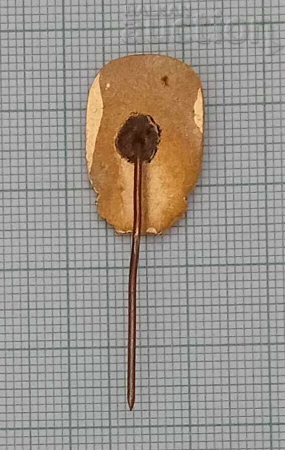 Licitație INSIGNĂ HRISTO BOTEV EMAIL Licitație INSIGNĂ HRISTO BOTEV EMAIL