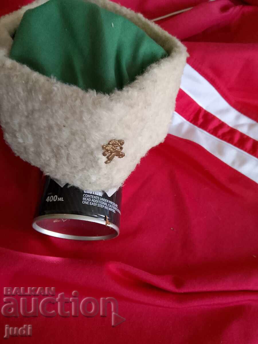 Σοσιαλιστικό καπέλο του Τσαβντάρτσε - 6 Σοσιαλιστικό καπέλο του Τσαβντάρτσε - 6