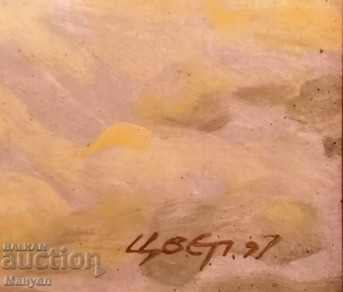 Δημοπρασία Όμορφο θαλασσινό τοπίο