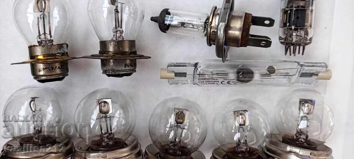 Bulbs with price 5.00 BGN | € 2.56 Bulbs with price 5.00 BGN | € 2.56