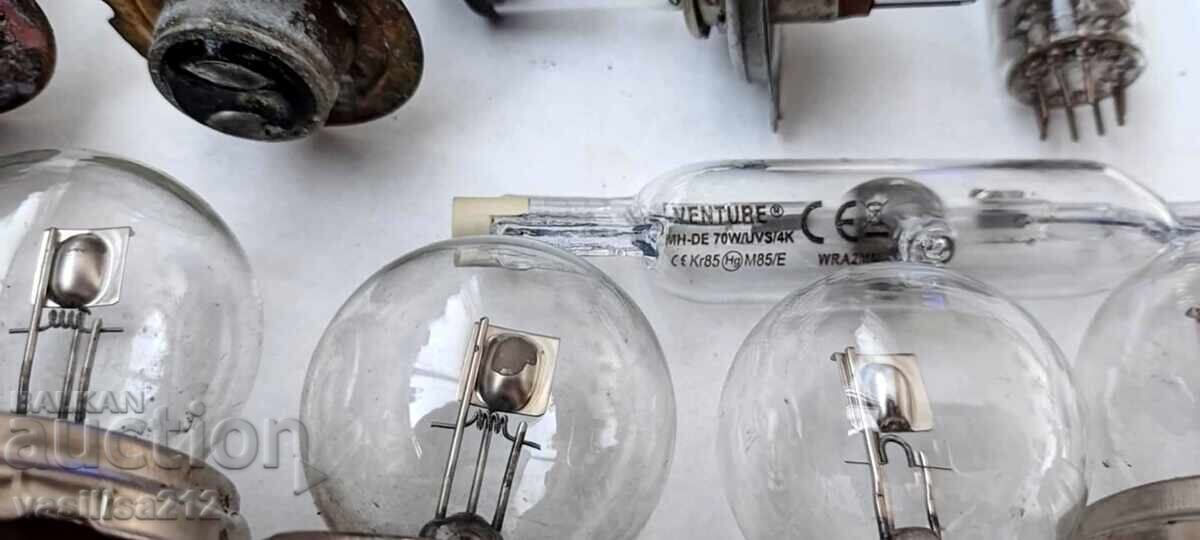 Auction Bulbs Auction Bulbs