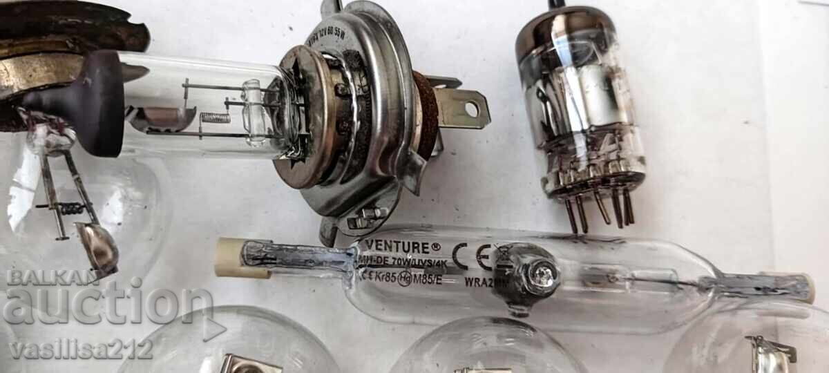 Delivery of Bulbs Delivery of Bulbs