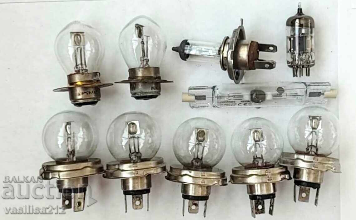 Bulbs Bulbs