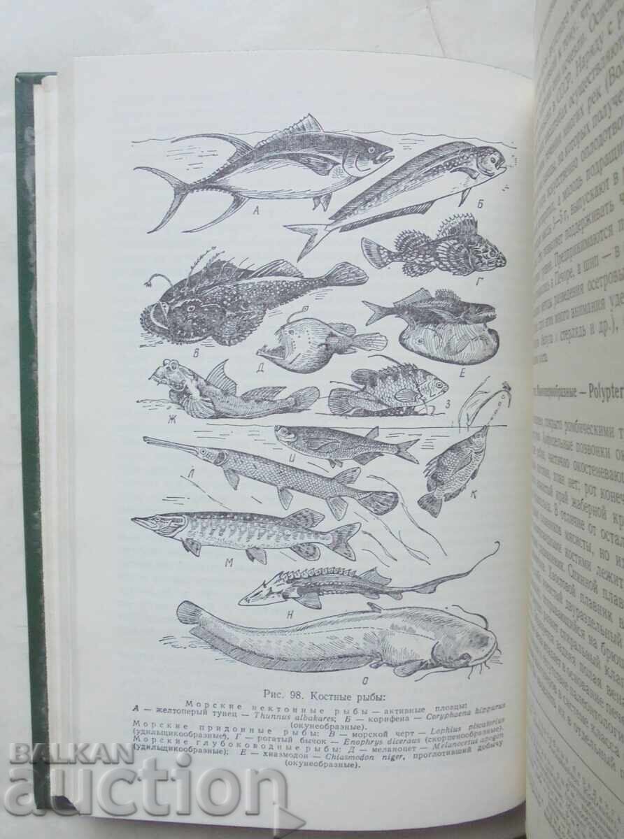 Доставка на Зоология позвоночных. Часть 1 Н. П. Наумова 1979 г. Доставка на Зоология позвоночных. Часть 1 Н. П. Наумова 1979 г.