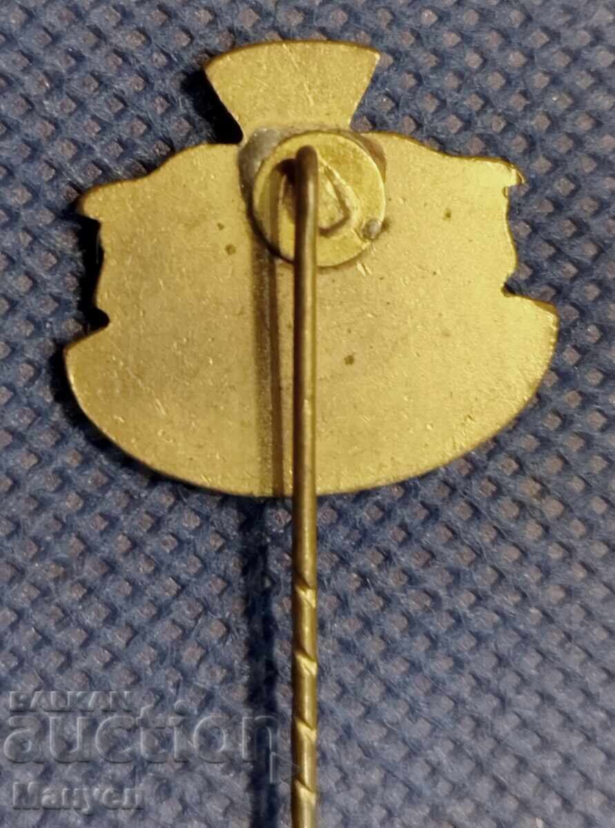 Star Awarded Badge of the German Empire with price 49.90 BGN | € 25.51