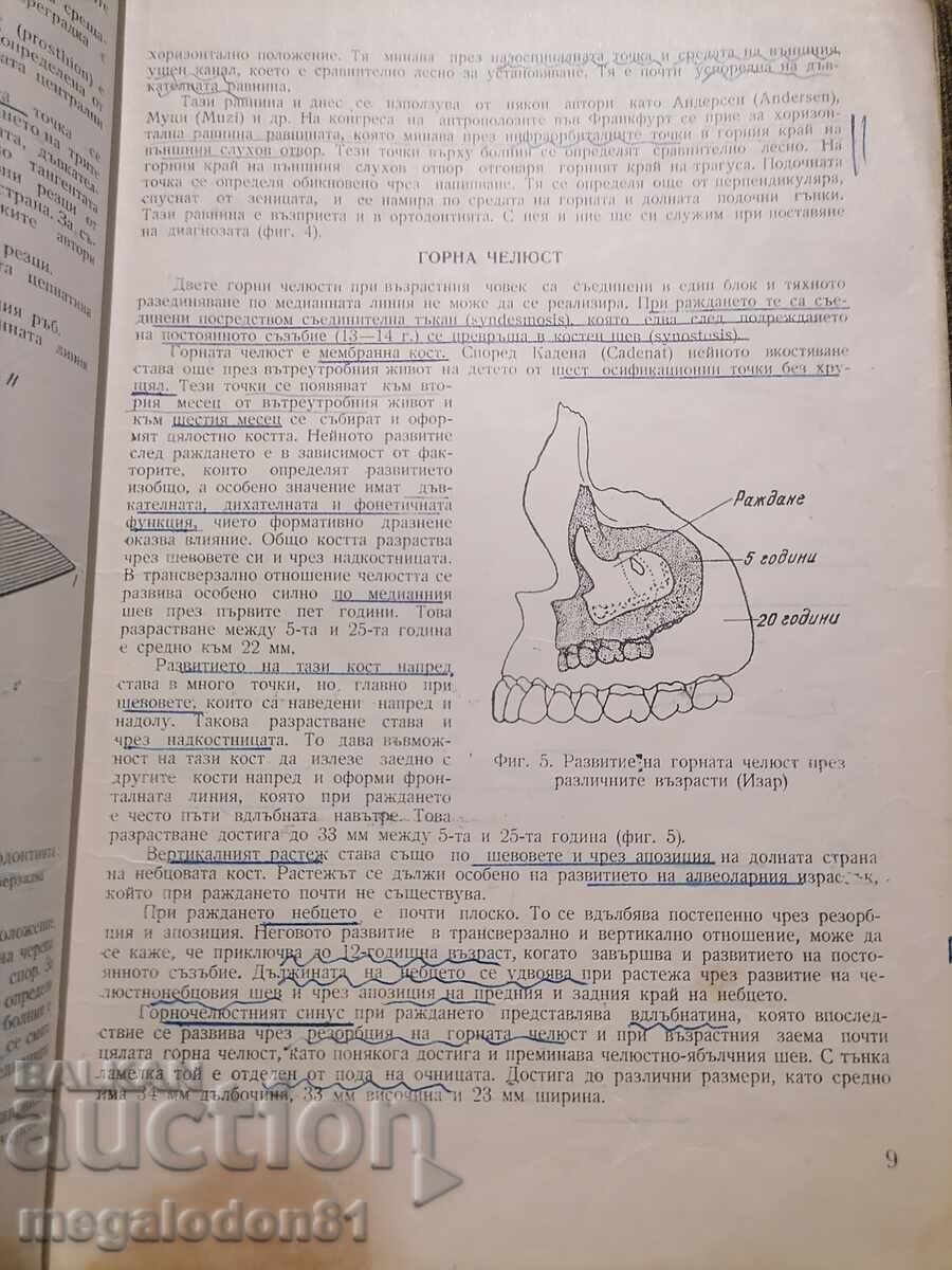 Δημοπρασία Ορθοδοντικές δυσμορφίες, Ζέτσο Κοεφ