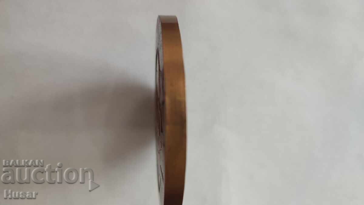 Plachetă incredibilă LENIN, gravor renumit - 6