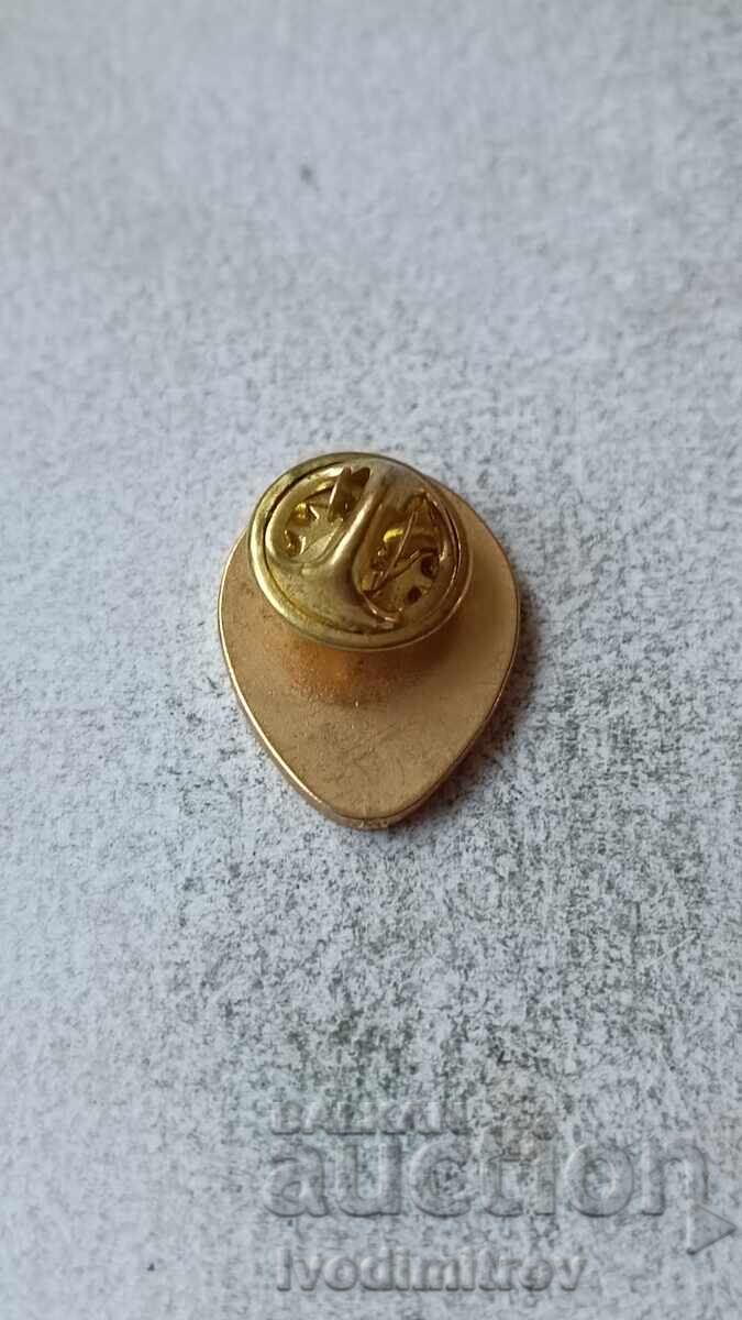 Valencia C. F. Badge with price 5.85 BGN | € 2.99