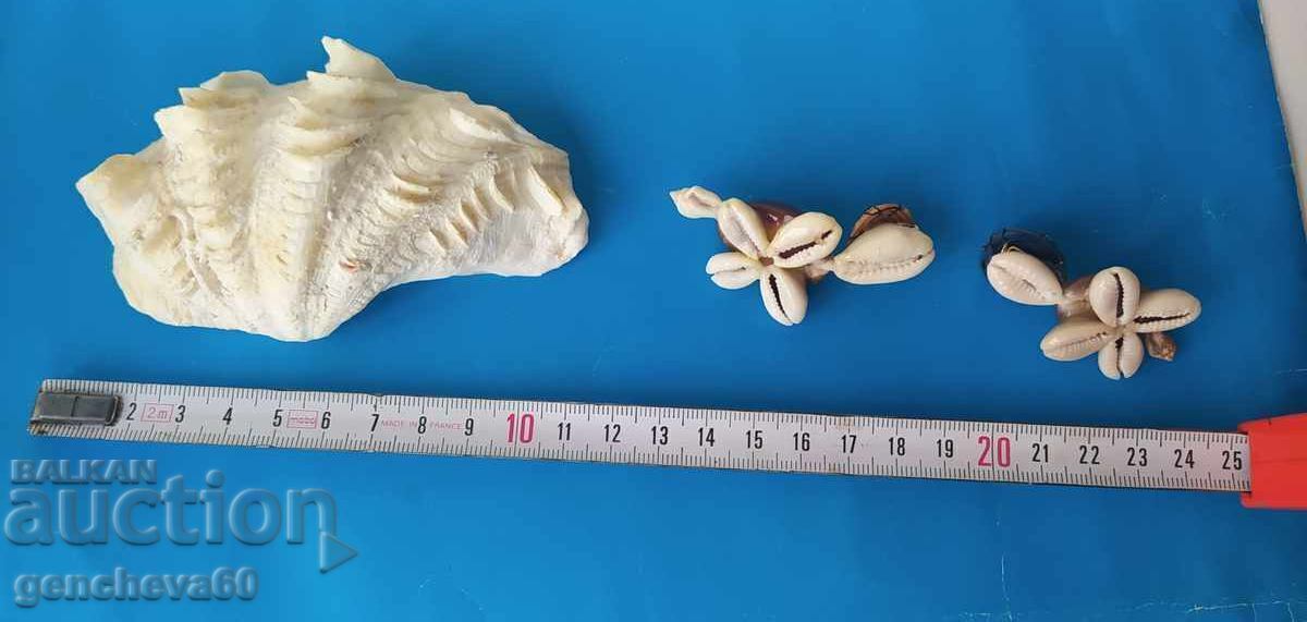 Licitație Figurine din scoici de mare și scrumieră