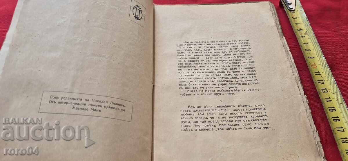 Licitație MARIA - O CARTE DESPRE DRAGOSTE - PETER NANSEN