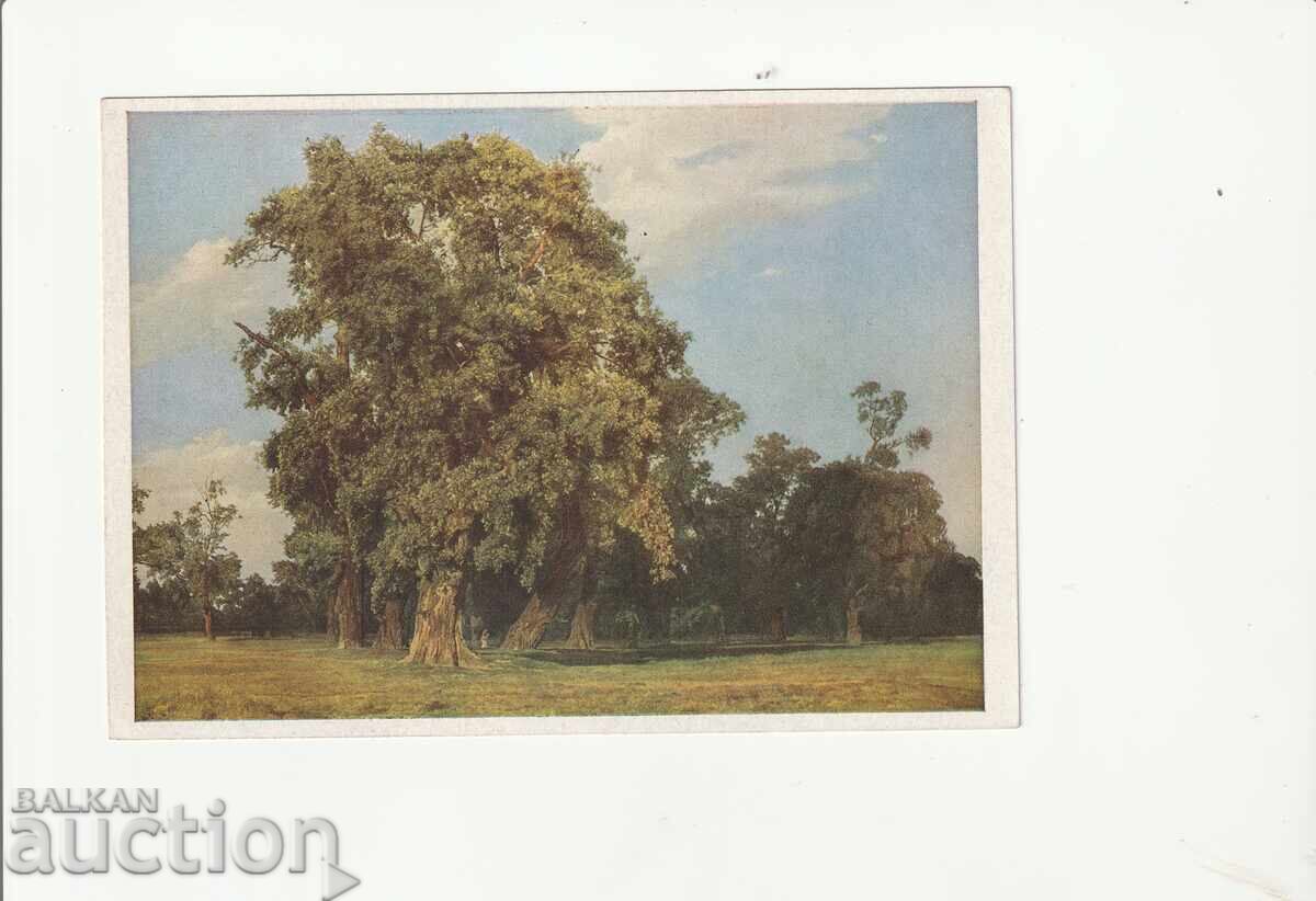 Η/Υ - Αυστρία Πράτερ, Πίνακας "Το παλιό δέντρο"