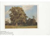 Η/Υ - Αυστρία Πράτερ, Πίνακας "Το παλιό δέντρο"