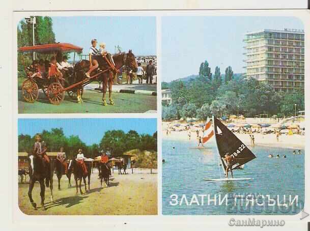 Map Bulgaria Varna Golden Sands 12*