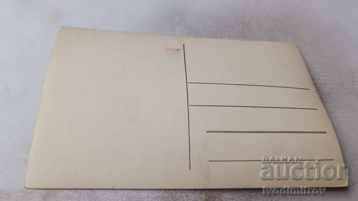 Φωτογραφία Παιδιών με αποκριάτικες στολές με τιμή 1.85 BGN | € 0.95