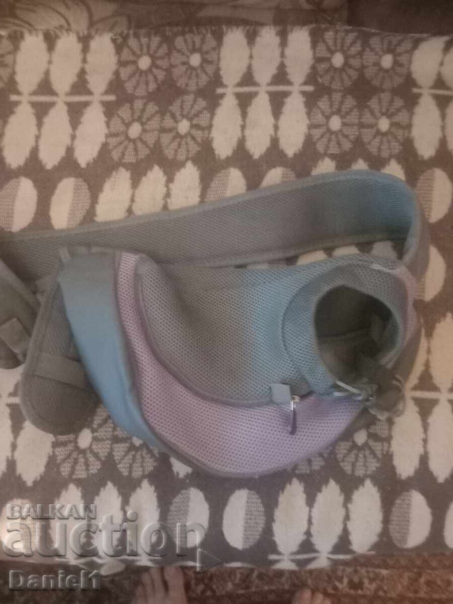 Backpack for a pet