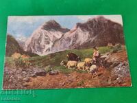 Carte poștală colorată veche