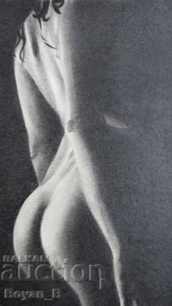 Desenul corpului Desenul corpului