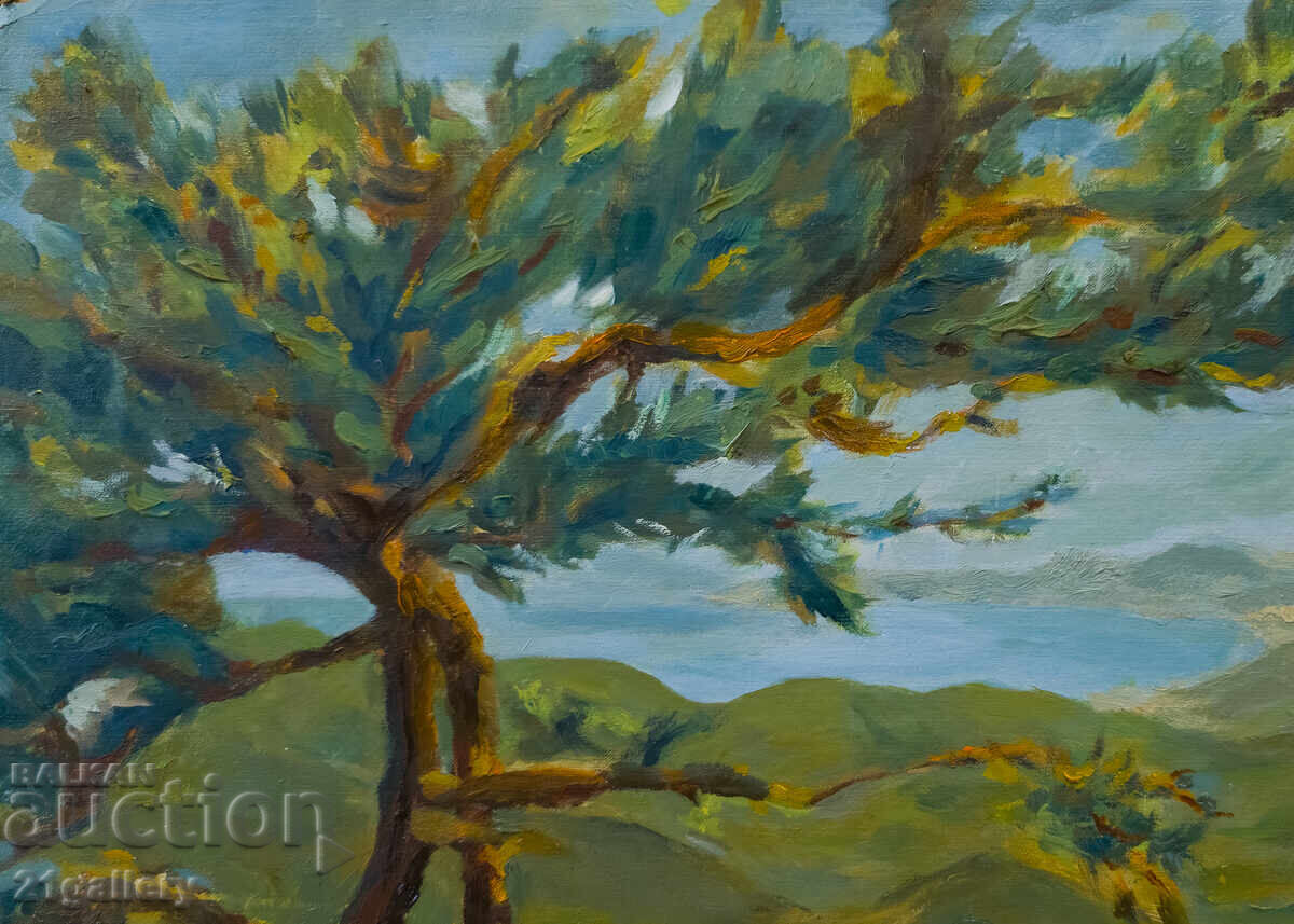 Пейзаж маслени бои с цена 500.00 лв. | € 255.65