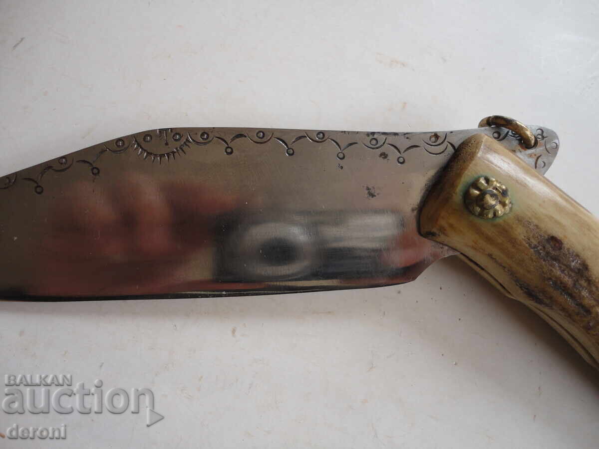 Τεράστια χάραξη κέρατου κουκουβάγιας, μαρκαρισμένο ναβάχα - 5