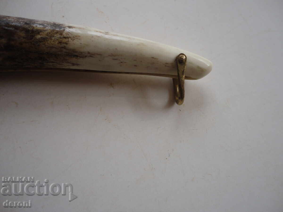 Τεράστια χάραξη κέρατου κουκουβάγιας, μαρκαρισμένο ναβάχα - 6