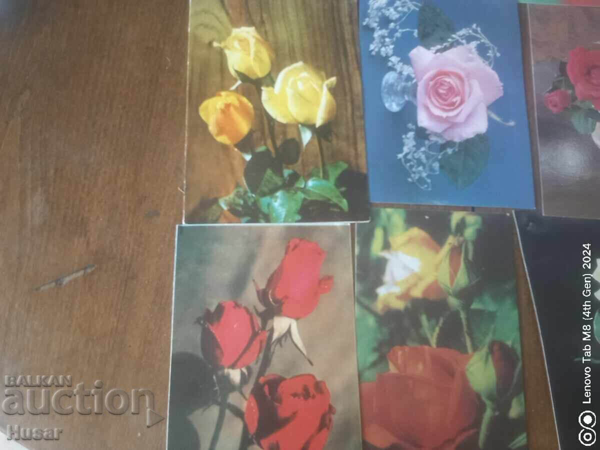 PC flowers, roses 10 pcs with price 5.49 BGN | € 2.81 PC flowers, roses 10 pcs with price 5.49 BGN | € 2.81