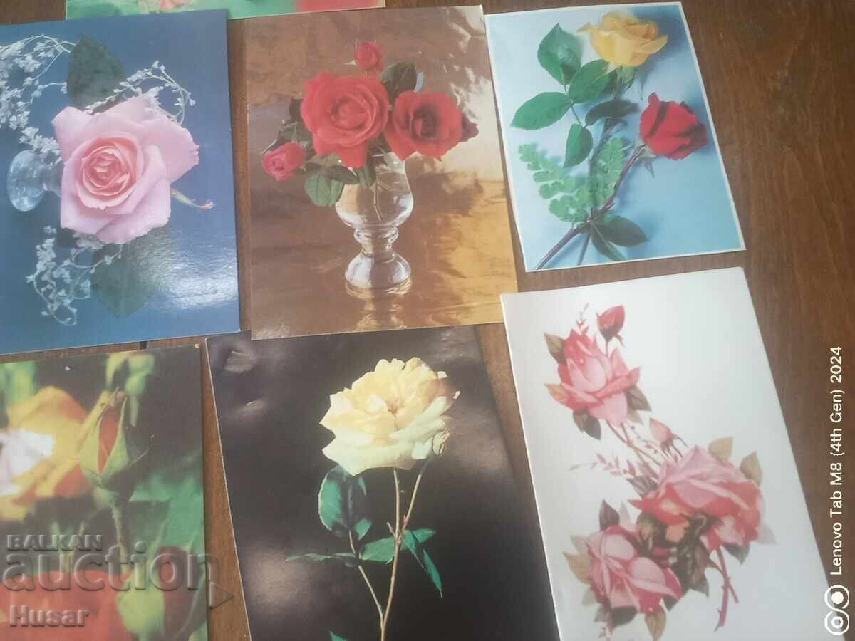 Auction PC flowers, roses 10 pcs Auction PC flowers, roses 10 pcs