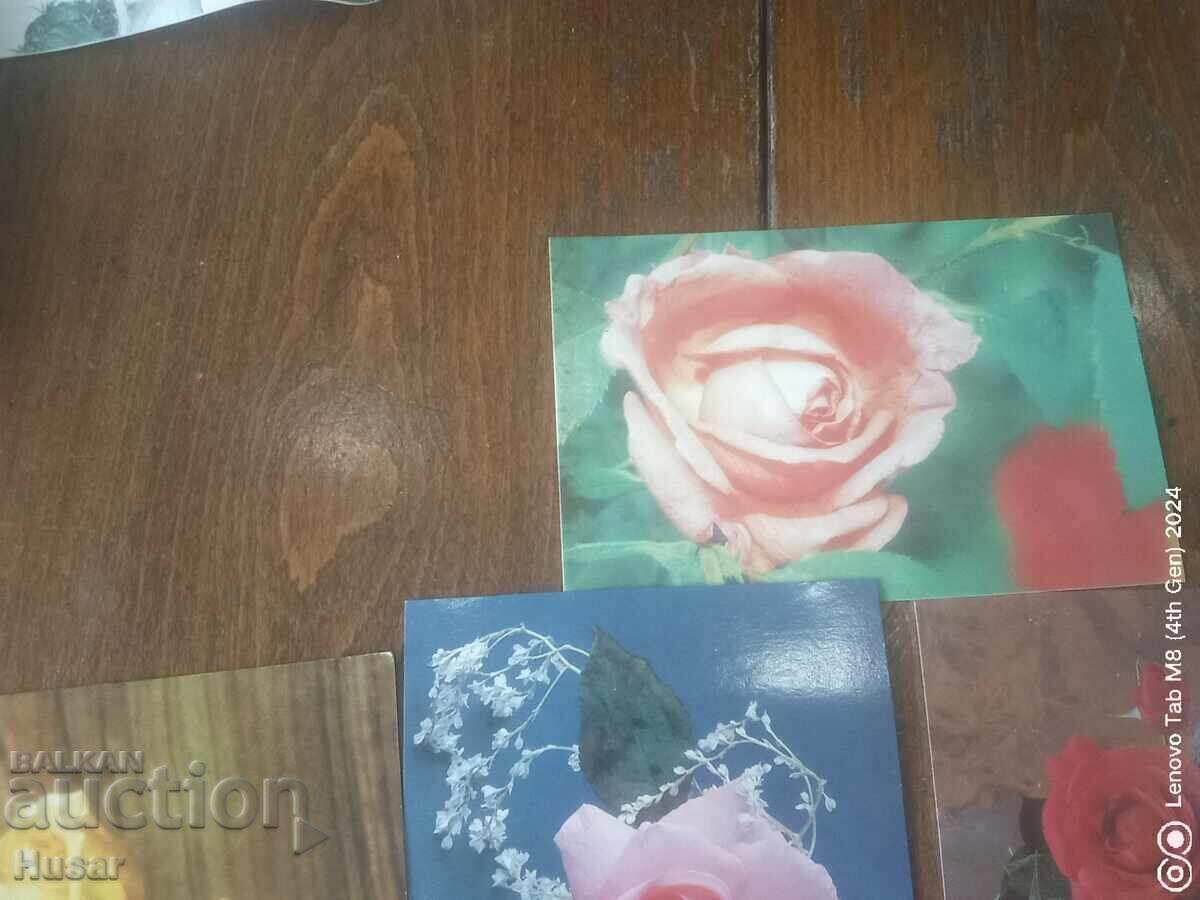 Delivery of PC flowers, roses 10 pcs Delivery of PC flowers, roses 10 pcs