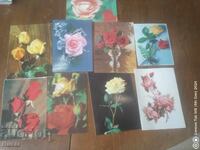 PC flowers, roses 10 pcs