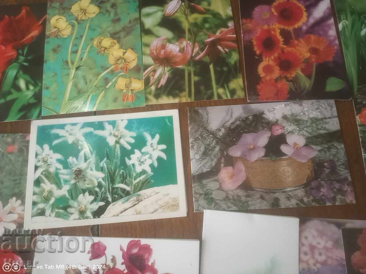 PC flori, diverse 29 buc excelente - 5 PC flori, diverse 29 buc excelente - 5