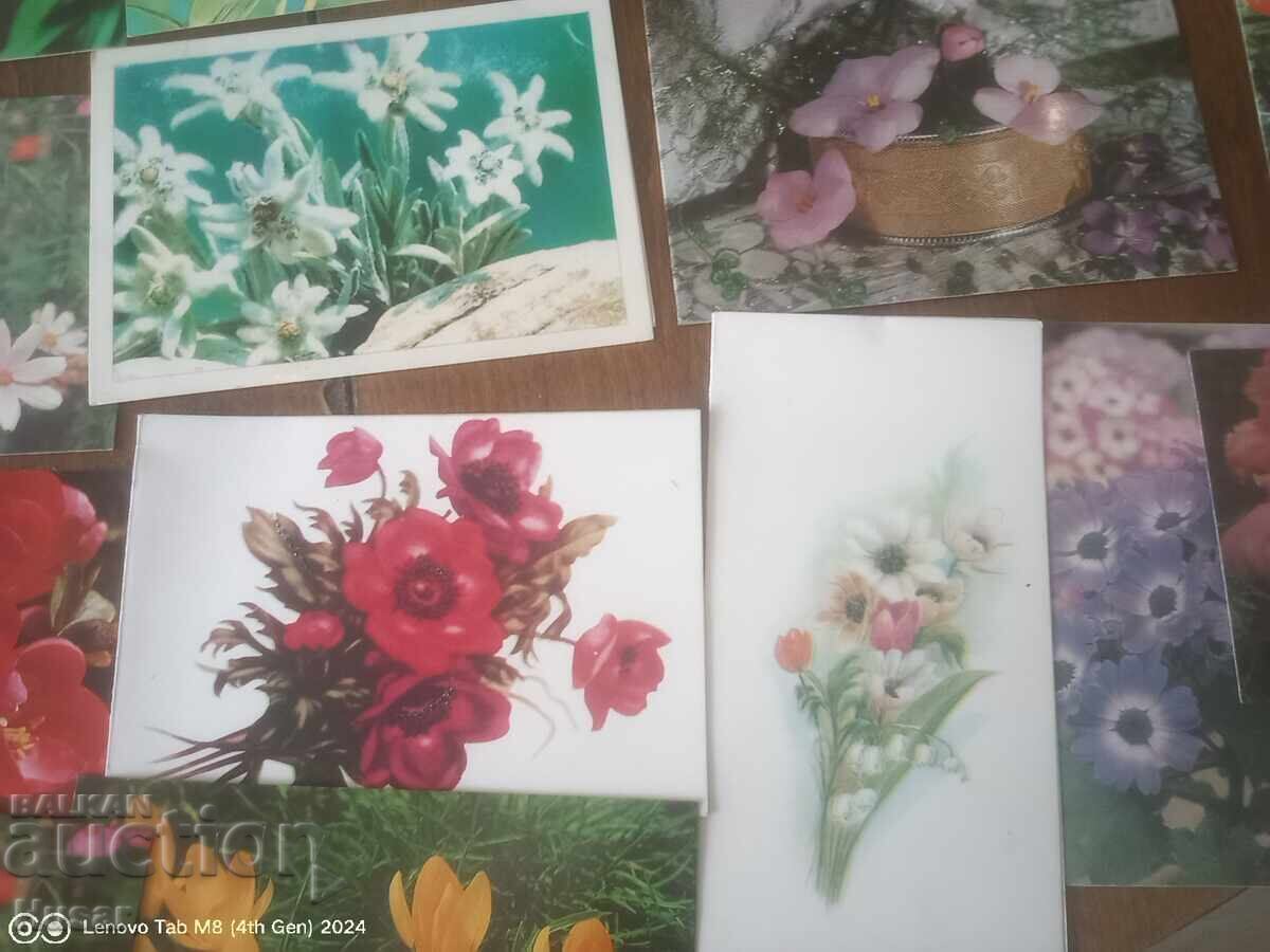 PC flori, diverse 29 buc excelente - 6 PC flori, diverse 29 buc excelente - 6