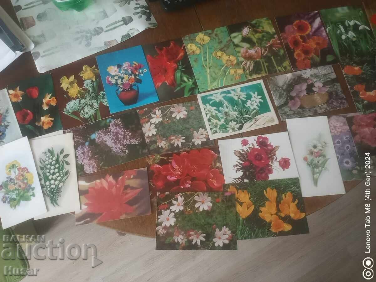 PC flori, diverse 29 buc excelente - 7 PC flori, diverse 29 buc excelente - 7