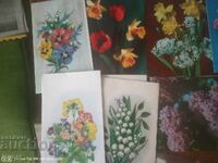 PC flori, diverse 29 buc excelente