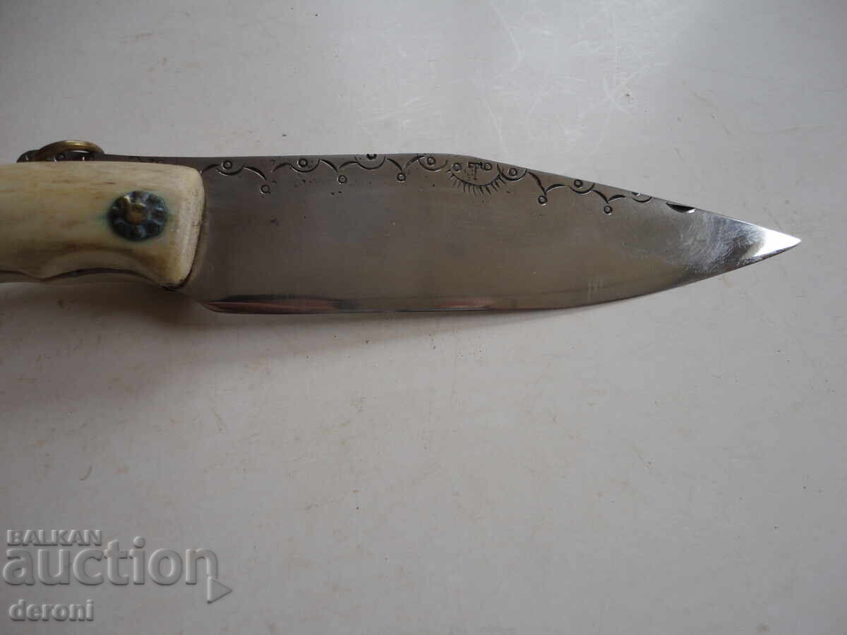 Невероятна сойка рог гравюри маркирана наваха 2 - 5 Невероятна сойка рог гравюри маркирана наваха 2 - 5