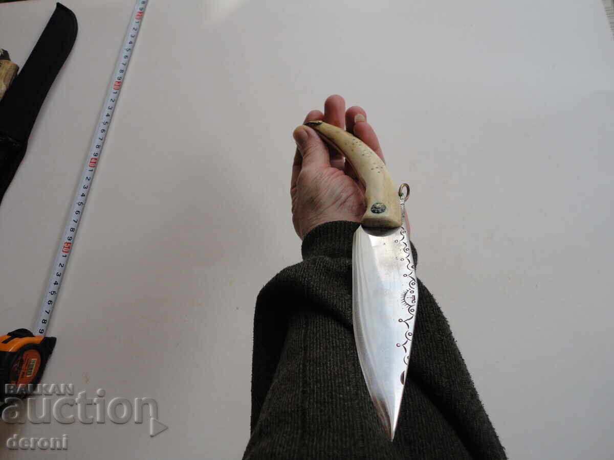 Невероятна сойка рог гравюри маркирана наваха 2 - 6 Невероятна сойка рог гравюри маркирана наваха 2 - 6