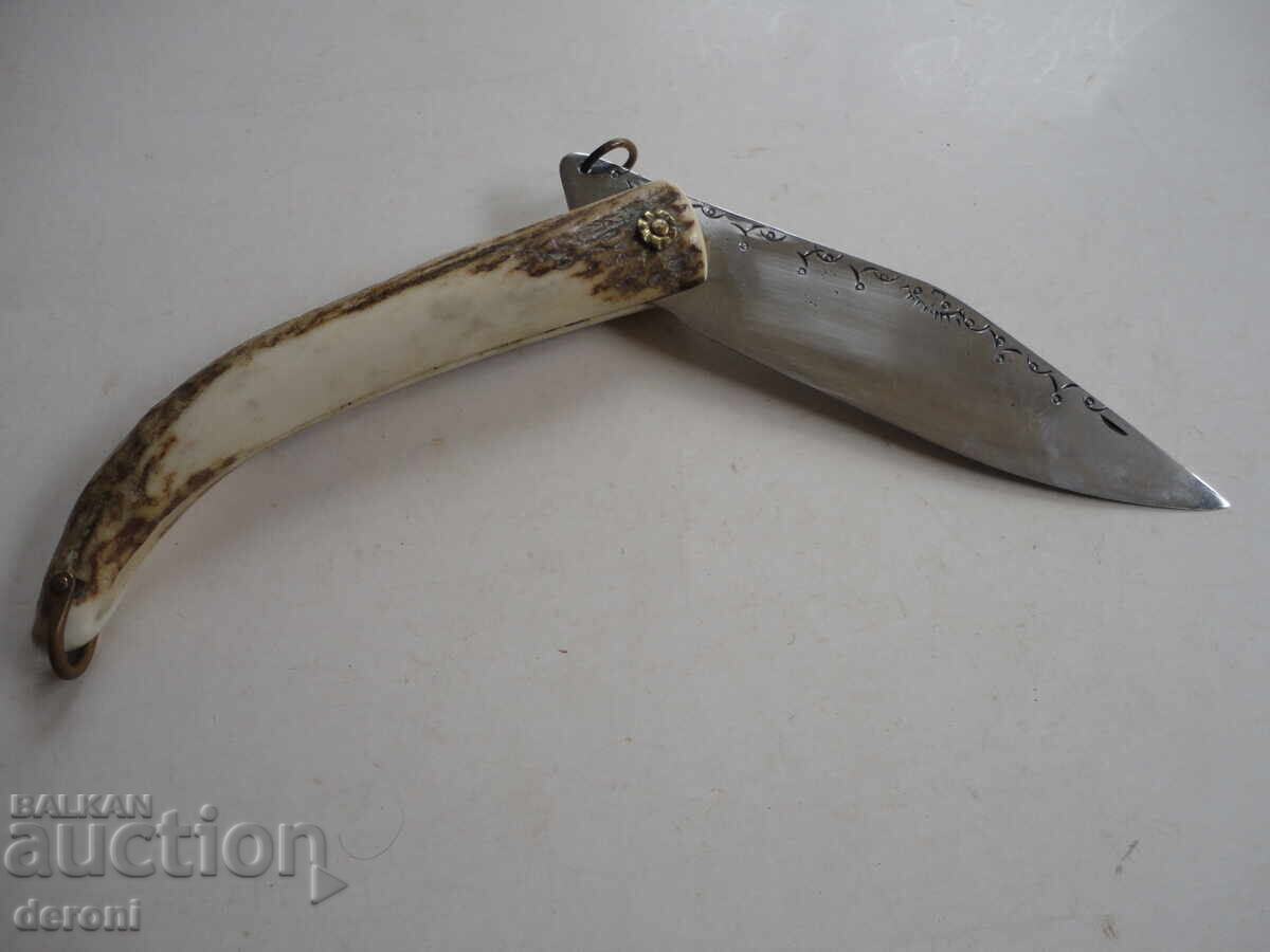 Τεράστια χάραξη κέρατου κουκουβάγιας μαρκαρισμένη ναβάχα 3 - 5