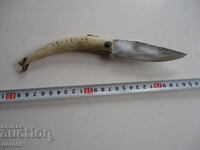 Страхотна  сойка рог гравюри маркирана наваха 4