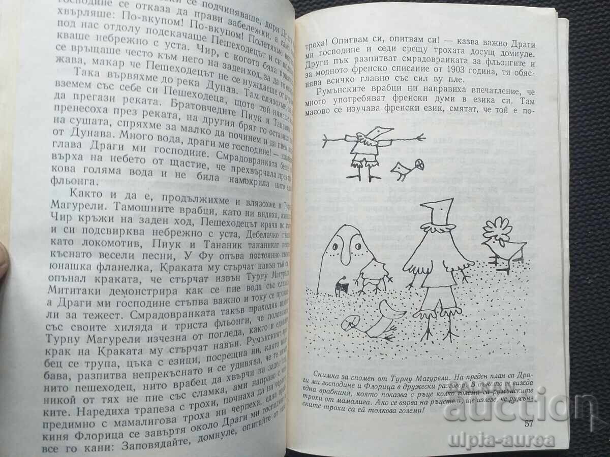 Carte socială pentru copii cu preț 2.30 BGN | € 1.18 Carte socială pentru copii cu preț 2.30 BGN | € 1.18