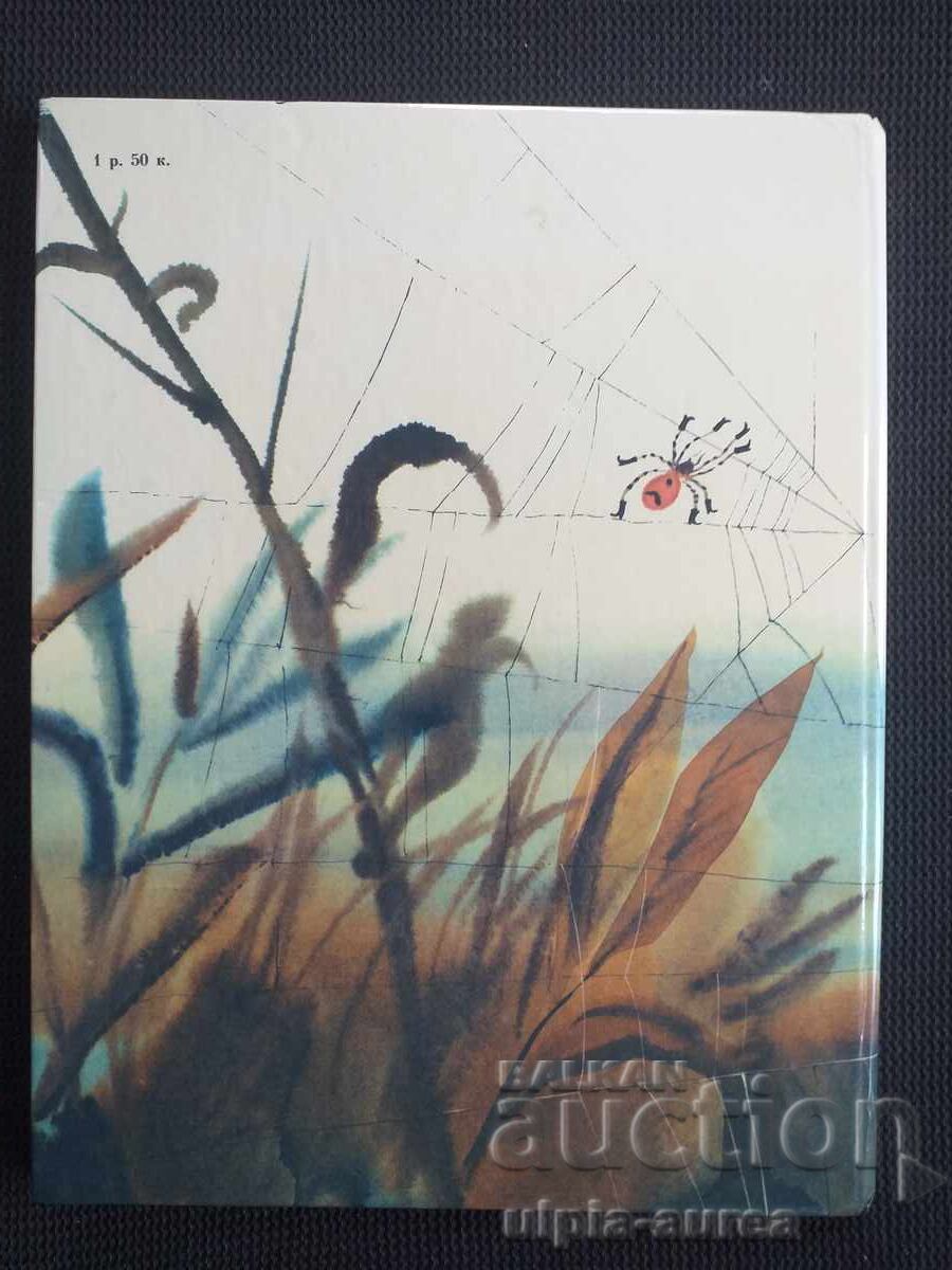 Social children's book - 5 Social children's book - 5