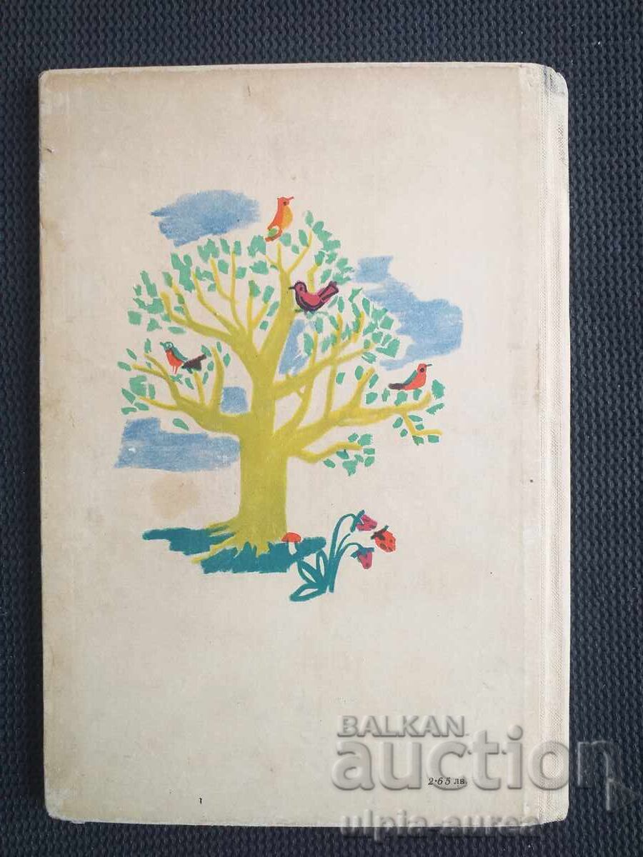 Carte socială pentru copii - 5 Carte socială pentru copii - 5