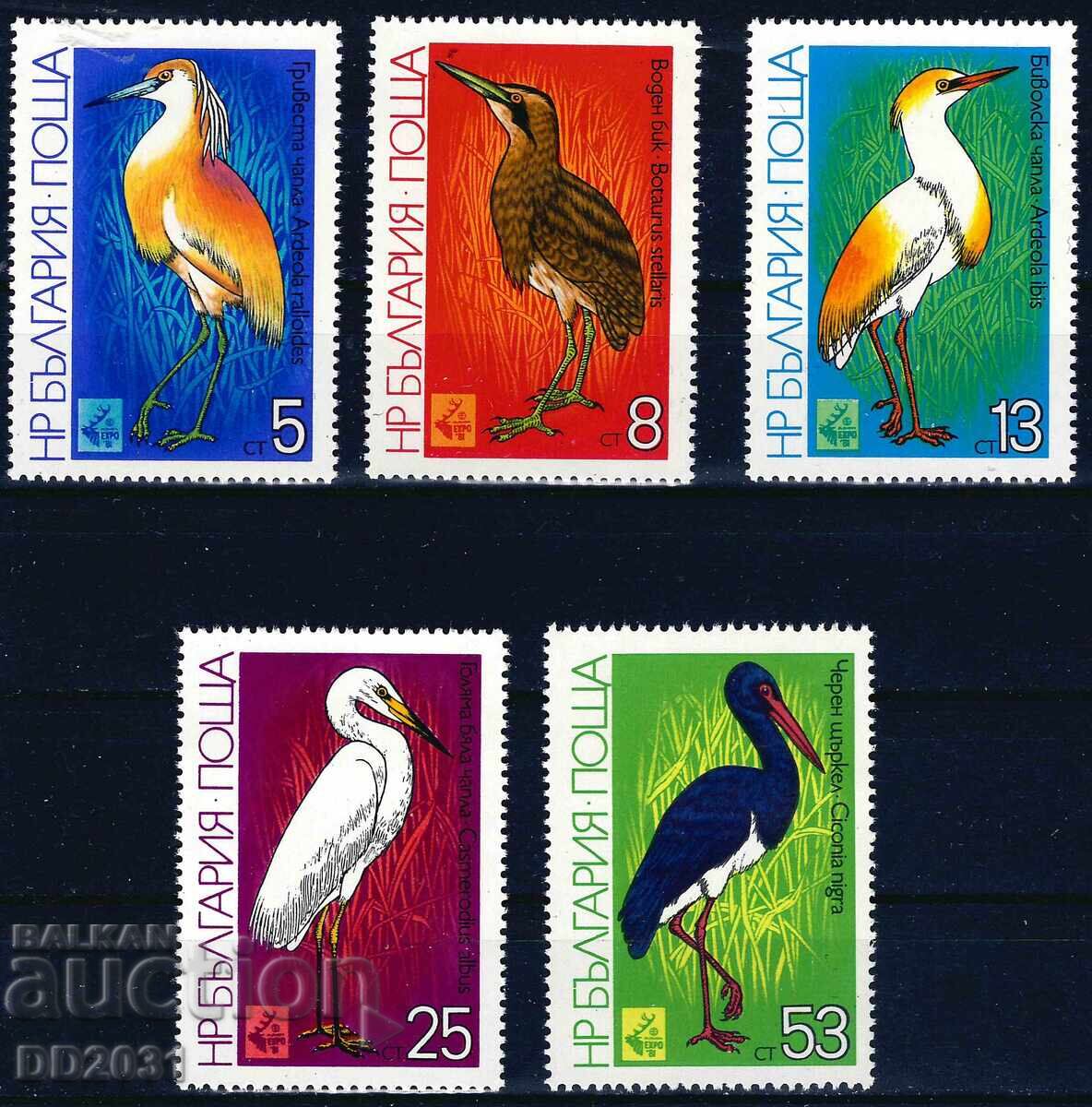 Βουλγαρία 1981 - πουλιά MNH