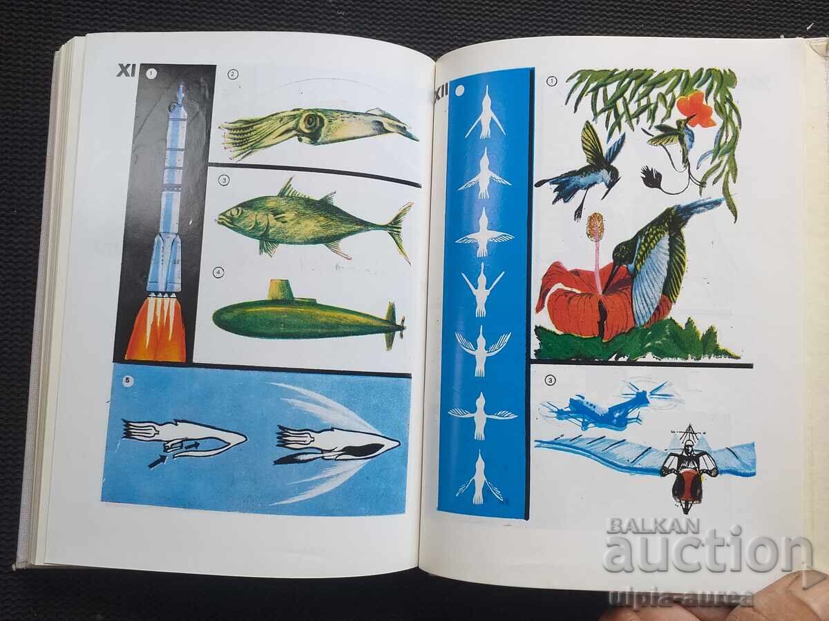 Delivery of Bionics Delivery of Bionics